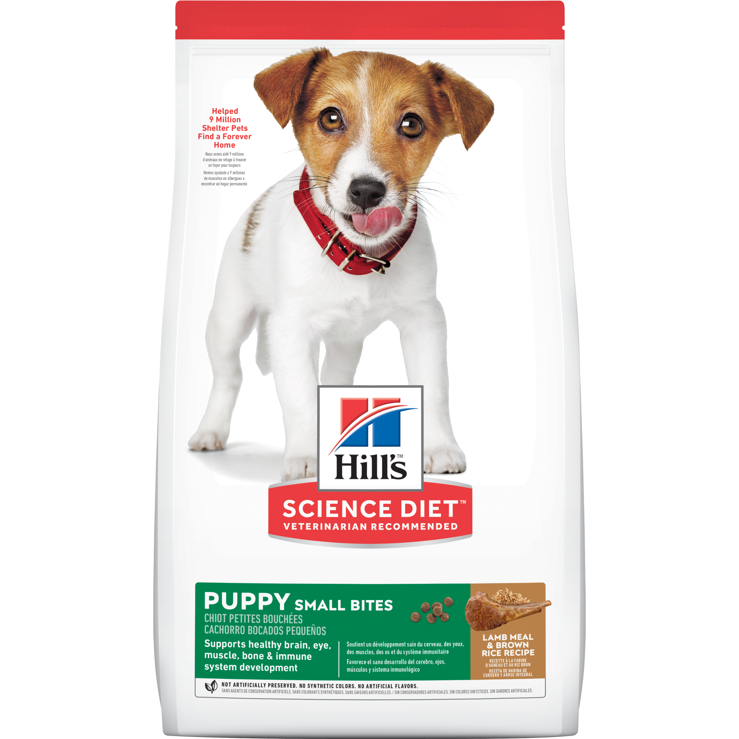 Hill's Science Diet Puppy Small Bites Lamb Meal & Rice Dry Food