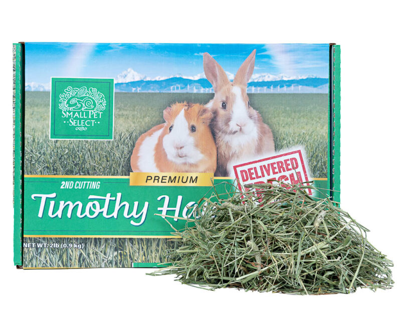 All With Love pet supplies